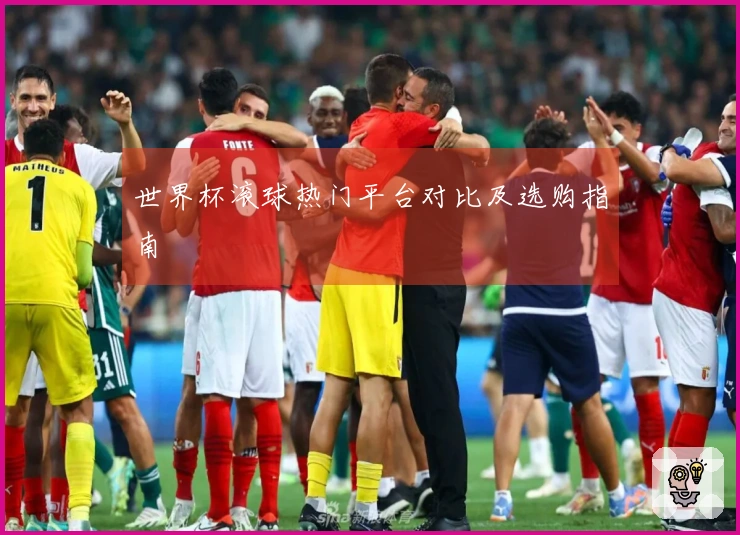世界杯滚球热门平台对比及选购指南