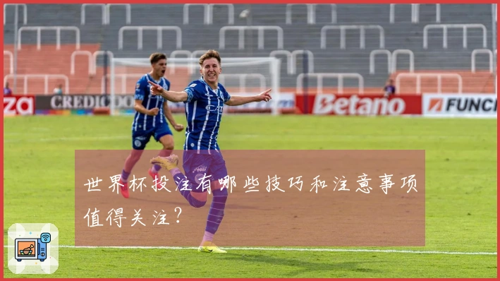 世界杯投注有哪些技巧和注意事项值得关注？