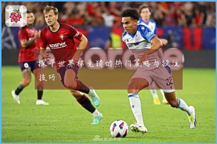 探寻世界杯竞猜的热门策略与投注技巧