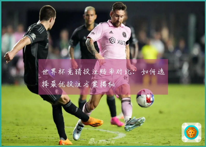 世界杯竞猜投注赔率对比：如何选择最优投注方案揭秘