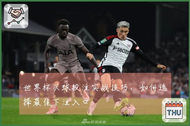 世界杯买球投注实战技巧，如何选择最佳下注入口